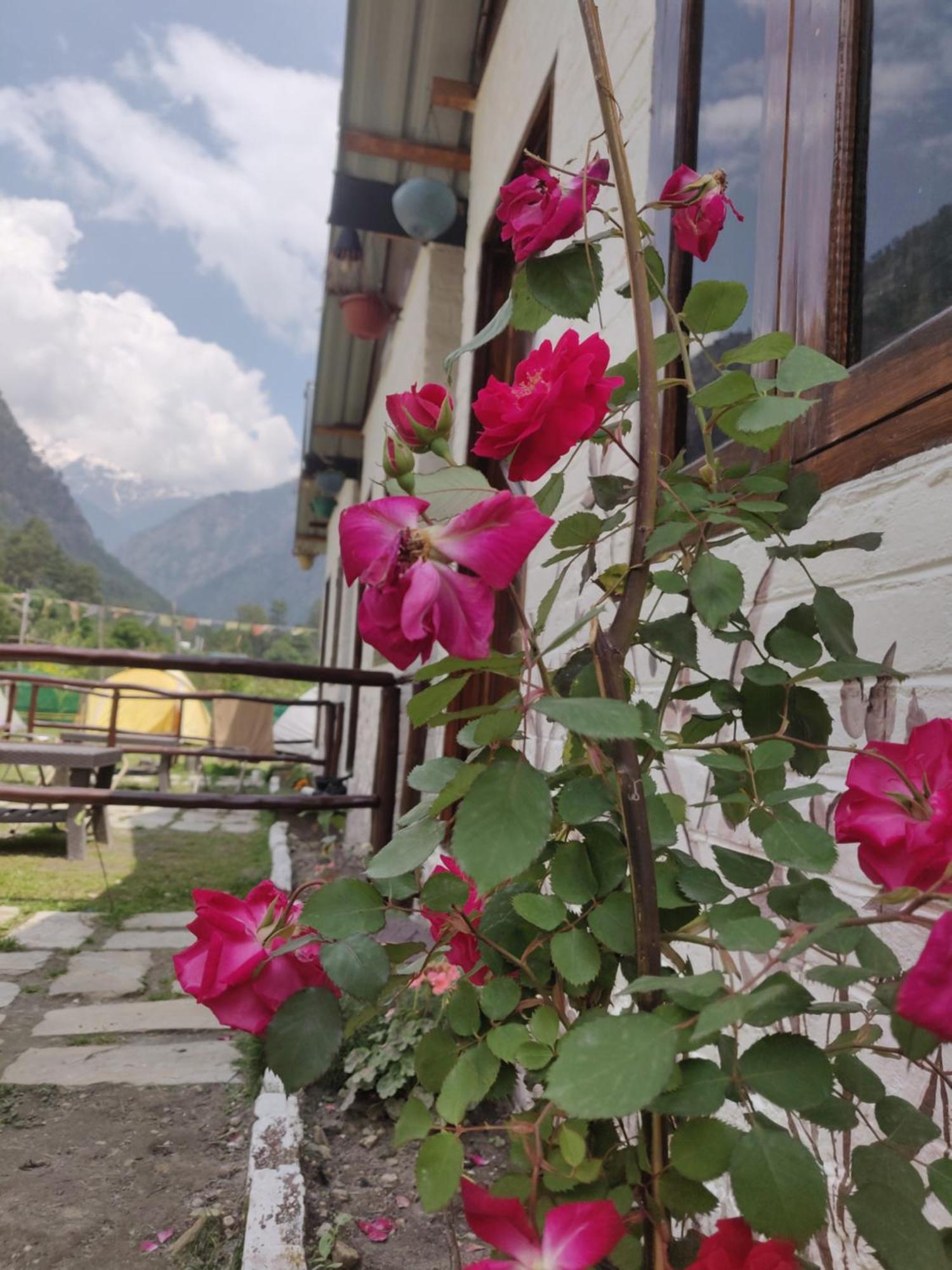 Himtrek Stays, Kasol Eksteriør bilde